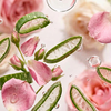 Aloe + Rose Water Essence
